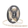 Buy cheap Energy Saving 3- LED Strip 12V 24V with CE ROSH 60PCS/M SMD 2835 Flexible Rope Light from wholesalers