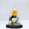 Buy cheap Beauty and the beast roses valentines day real preserved rose in glass that lasting 3 years from wholesalers