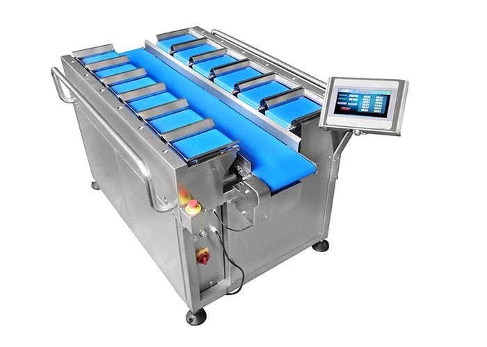 30WPM Vegetables Combination weigh Belt Scale PLC Control High Accuracy Grader