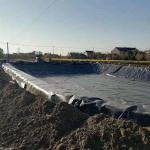 Geomembrane Liner for Fish Pond Landfill Dam Waterproof After-sale Service Sale