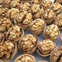 Buy cheap Wholesale high-quality organic Xinjiang walnut kernel 185 paper shell walnut product