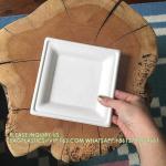 Eco-Friendly Wholesale Bio Disposable Sugarcane Food Container Snack Cookie