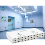 HUAAO Modular Cleanroom Wall PU Rock Wool Sandwich Panels Cleanroom Wall Panels