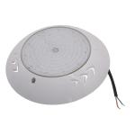 Wall Mounted 50000h 42W Swimming Pool Flood Lights
