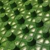 Buy cheap Green Roof Water Storage and Drainage Cell Mat Board for Conservancy in Traditional Design from wholesalers