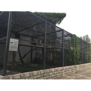 aviary mesh for Medium Pet Birds