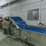 Fruit Vegetable Bubble Washing Machine