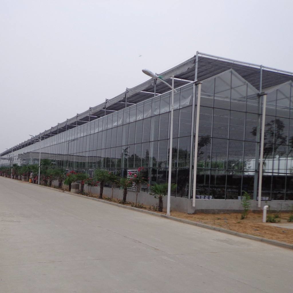 Exhibition Multi Span Greenhouse , Glass Green Houses Hanging Load 0.15KN/M2