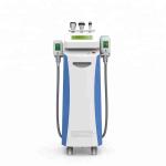 Big promotion!!! fat freeze,skin rejuvenation,wrinkle removal cryolipolysis