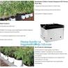 Buy cheap Drain Growing Bags-White Color Grow Bags-100%Virgin Raw PE Planter Bags -25Gallon 150Microns Thickness Planting Bag, PAC from wholesalers