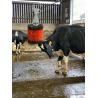 Buy cheap Zhenda Blue Electric Cow Farm Equipment Cow And Cattle Body Brush from wholesalers