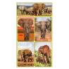 Buy cheap Rectangle Adhesive 3D Lenticular Stickers For Children's Book PET/PP Printing from wholesalers