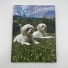 Buy cheap A4 A5 Hardcover Bound Book Printing Embossed Saddle Stitching from wholesalers