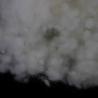 Buy cheap Recycled Conjugated Polyester Fiber 32mm Pure White Hollow Conjugated PSF from wholesalers
