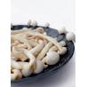 Buy cheap The Healthiest Vacuum Fried Vegetable Snacks of 2022 healthy dried white jade mushroom from wholesalers