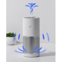 Buy cheap True HEPA Negative Ion Air Purifier H12 Filter Mini Portable Office Car product