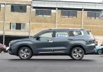New Version Personal Adult Geely Car SUV Gasoline Petrol Oil Fuel 2 WD Car