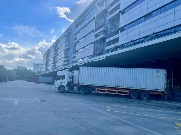Free Trade Zone International Transfer Hong Kong Transfer Warehouse Chinese