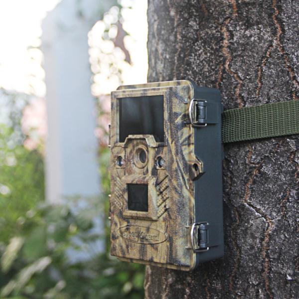 Buy cheap Batteries Operated Digital Wildlife Camera Infrared Animal Trail Video Surveillance Non Wireless from wholesalers