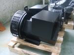 FARADAY Alternator Single Phase Generator