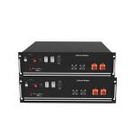 48V Solar Inverter Battery LiFePO4 Lithium Ion Pack Battery 50Ah 100Ah 120Ah