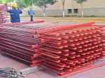 High Efficiency Biomass Boiler Serpentine Tubes ASME Standard
