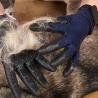 Buy cheap Dog Hair Grooming Glove / Cats Soft Rubber Pet Hair Remover Comb from wholesalers