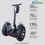 21 Inch Off Road Segway Electric Scooter Ecorider 4000W Brushless 2 Wheel
