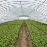 Aluminum Frame Glass Garden Greenhouse Victorian Commercial Greenhouse for