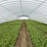 Buy cheap Aluminum Frame Glass Garden Greenhouse Victorian Commercial Greenhouse for Vegetables from wholesalers