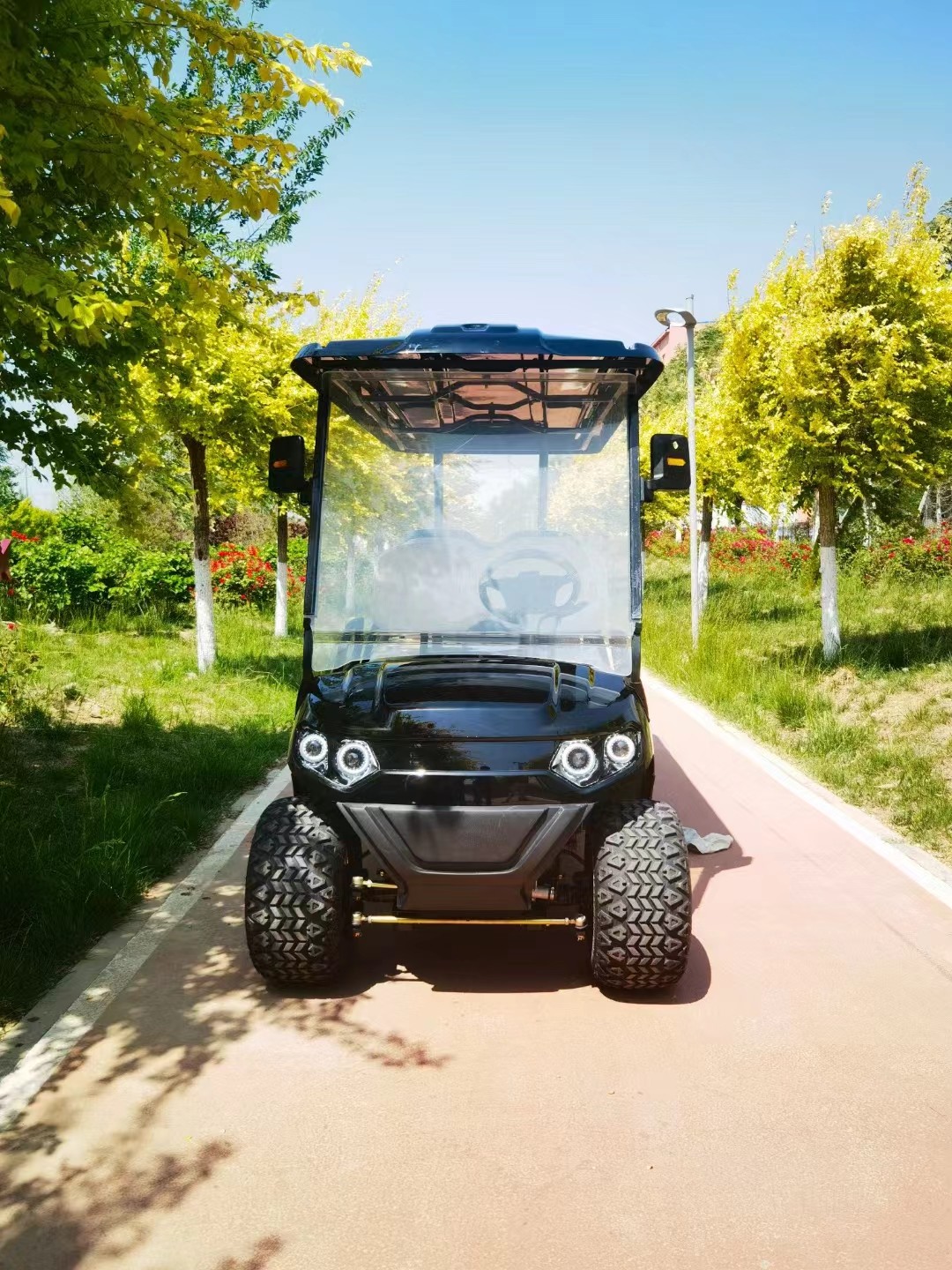 Customized Off Road Black 6 Seaters Golf Cart With AC Motor 3.5 KW Lead Acid Battery