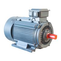 Buy cheap AC 2 Pole 3 Phase Induction Motor IP55 Electric Motor 15 Hp Low Voltage product