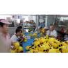 Buy cheap Green Color Broken Needle Detector Free Standing Conveyorized Digital from wholesalers