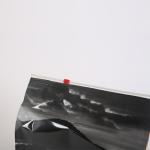 Plastic Dog 20kg Pet Food Packaging Bag Aluminum Foil Flat Bottom Side Gusset