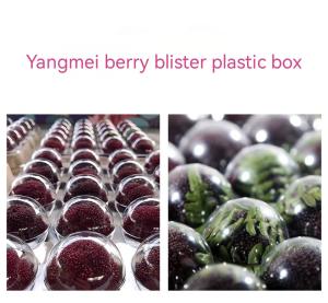 Wholesale Custom Blister Transparent 54 Cavity Pet Berry Fruit Clamshell Box Disposable Yangmei Fruit Clear Plastic Container Packing Box from china suppliers