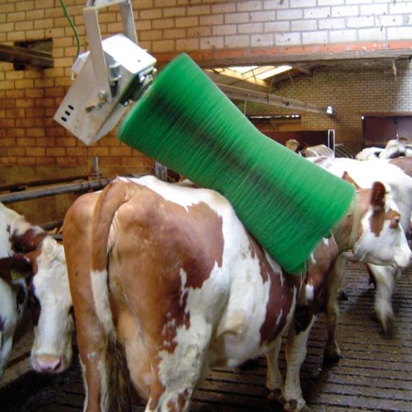 Buy cheap Dairy Farm Equipments Automatic Cow Body Brush For Cow Massage With The Motor from wholesalers