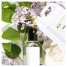 Buy cheap Perfume Oil Fragrance Original Oil Perfume For Body Spray Long Lasting Perfume from wholesalers