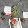 Buy cheap New simulation flower, Yu Meiren, Western chrysanthemum, soft decoration, fake flower, wedding hall bouquet, engineering flower decoration flower from wholesalers