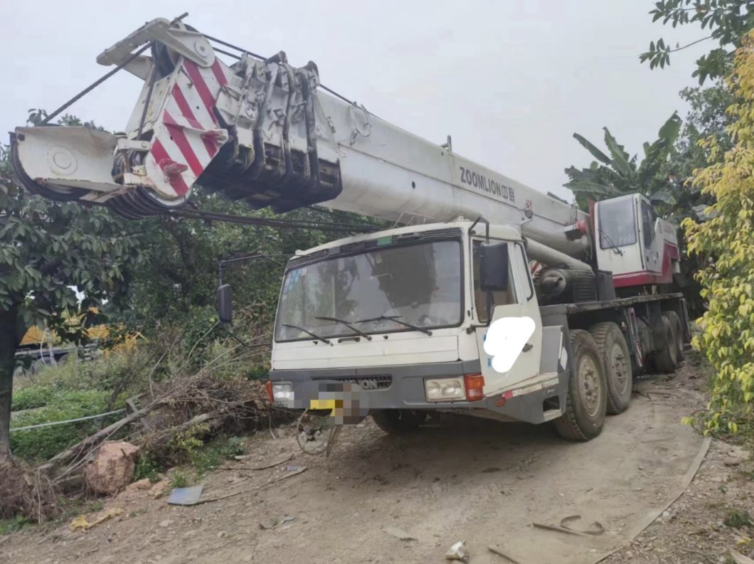 2010 Zoomlion Truck Crane of 65ton