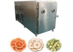 200Kg/Batch Vegetable Dry Freezer Machine Air Cooling