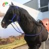 Buy cheap Fun Park Rideable Animatronic Horse Animatronic Animals Snow Proof from wholesalers