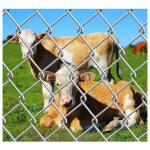 8ft Height Agriculture Field 100m Veld Span Field Fence for Outdoor Animal