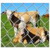 Buy cheap Hot Dipped 2.5mm 15cm 20cm Hole Size 1.2x100m 10 Lines Fixed Knot Deer Fence Field Fence from wholesalers