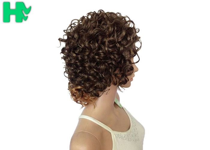 6 inch -36 inch Heat Resistant Short Curly Bob Wigs For Black Women