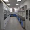 Buy cheap Customized Made Wall Mounted Chemical Fume Hood With Scrubber Systems from wholesalers