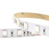 Buy cheap Flexible LED Strip Light 5050 Set RGB DC 24V 12V 60 Leds For Building from wholesalers