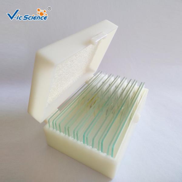 Buy cheap Medical School Plain Microscope Glass Slides 10pcs CE Certification from wholesalers