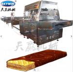 High Capacity Chocolate Coating Wafer Biscuit Making Machine