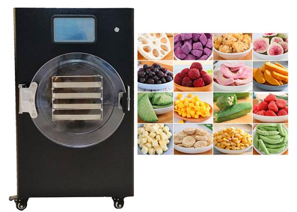 Buy cheap 1Kg 2Kg 4Kg 6kg Mini Freeze Dryer Home Pet Food Vacuum from wholesalers