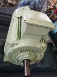 18.5kw Cast Iron Electric Motor Asynchronous Three Phase Squirrel Cage AC Motor